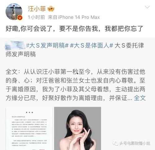 娱乐圈吃瓜汪小菲是谁呀,从豪门公子到话题焦点