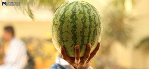 在哪吃娱乐圈的瓜,揭秘“在哪吃”独家瓜料